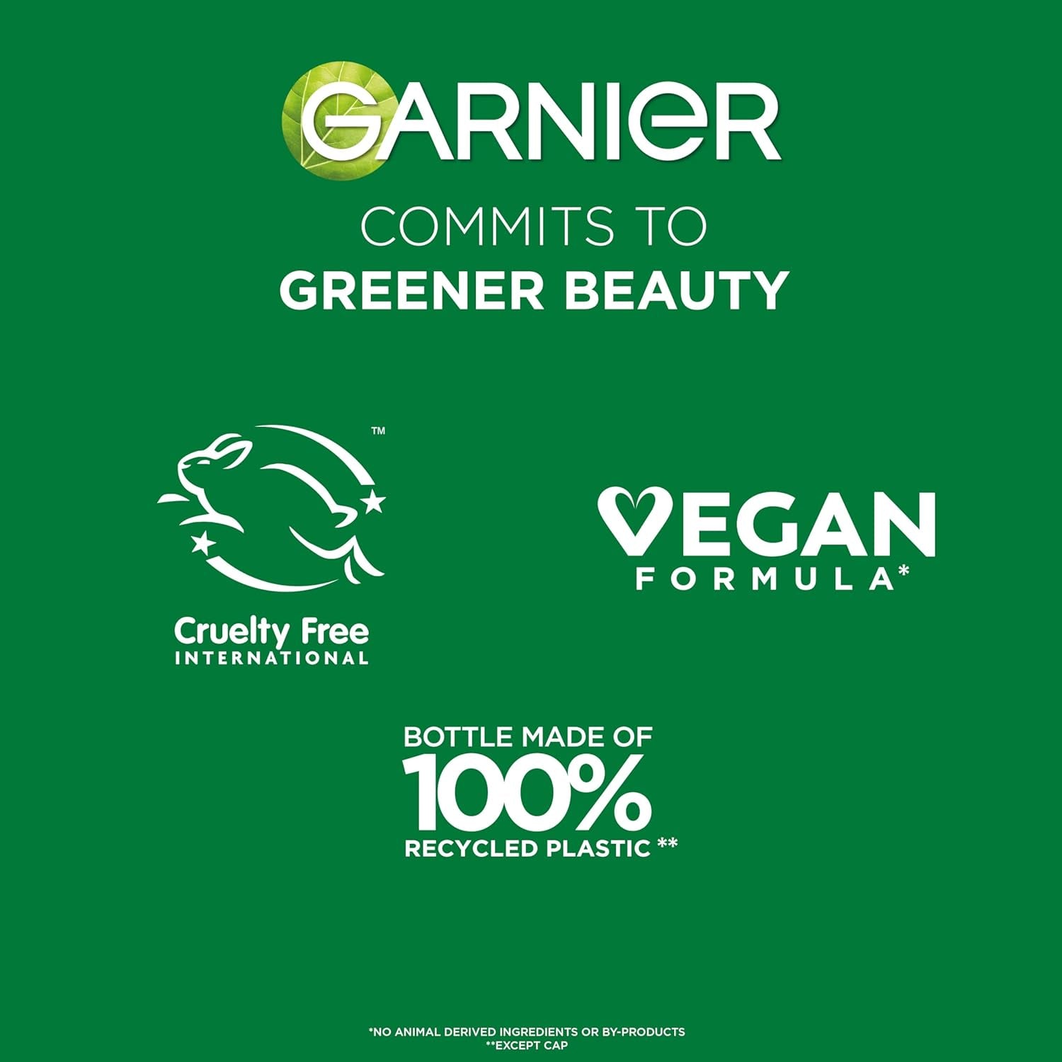 Garnier Fructis Sleek & Shine Shampoo & Conditioner Set – Plant Keratin + Argan Oil, Anti‑Frizz